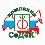 Седек