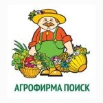 Поиск