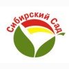 Сибирский сад Сибирский сад