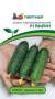 Огурец Бьерн F1 (партнер) 5 шт  – купить в г. Волгоград