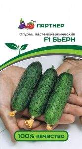 Огурец Бьерн F1 (партнер) 5 шт  – купить в г. Волгоград