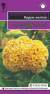 Целозия гребенчатая Курум желтая (гавриш) 8шт  – купить в г. Волгоград