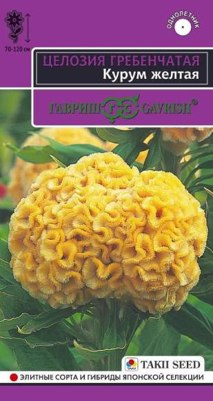 Целозия гребенчатая Курум желтая (гавриш) 8шт  – купить в г. Волгоград