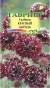 Скабиоза темно-пурпурная Красный король (гавриш) 6шт  – купить в г. Волгоград