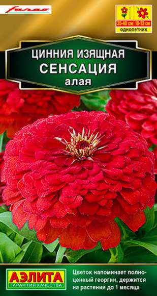 Цинния Сенсация алая (аэлита) 12 шт  – купить в г. Волгоград