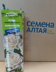 Роза Алтай чайно-гибридная Ломоносов 1шт 