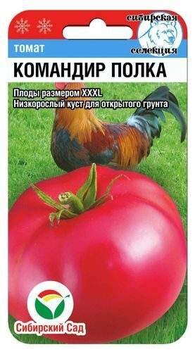Томат Командир полка (сибирский сад) 20шт  – купить в г. Волгоград