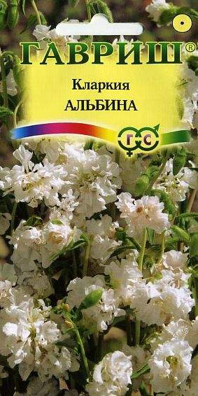 Кларкия Альбина (г) 0,05гр  – купить в г. Волгоград