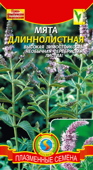 Мята Длиннолистная (плазмас) 0,03гр  – купить в г. Волгоград
