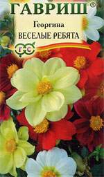 Георгина Веселые ребята (гавриш) 0,3гр
