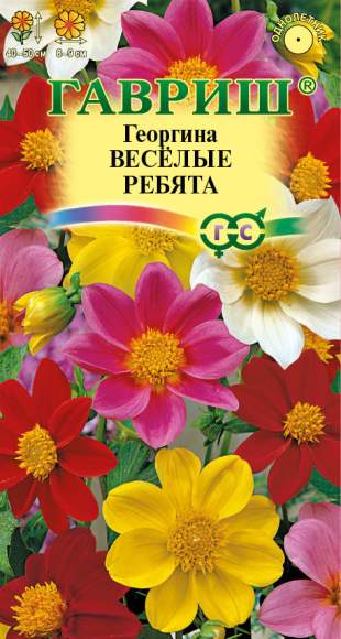 Георгина Веселые ребята (гавриш) 0,3 гр  – купить в г. Волгоград