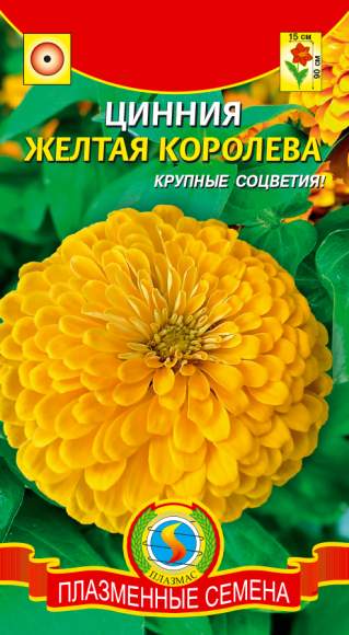 Цинния Желтая королева (плазмас) 0,3 гр – купить в г. Волгоград Цинния Желтая королева (плазмас) 0,3 гр – купить в г. Волгоград