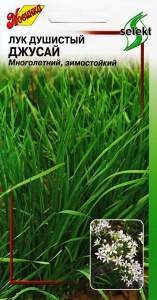 Лук душистый Джусай (дом семян) 40 шт Лук душистый Джусай (дом семян) 40 шт