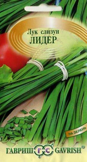 Лук слизун Лидер (гавриш) 0,5гр – купить в г. Волгоград Лук слизун Лидер (гавриш) 0,5гр – купить в г. Волгоград