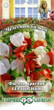 Фасоль красная Герцогиня (гавриш) 5шт Фасоль красная Герцогиня (гавриш) 5шт