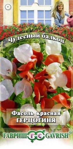 Фасоль красная Герцогиня (гавриш) 5шт – купить в г. Волгоград Фасоль красная Герцогиня (гавриш) 5шт – купить в г. Волгоград