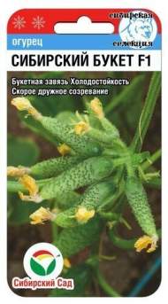 Огурец Сибирский букет F1 (сибирский сад) 7 шт Огурец Сибирский букет F1 (сибирский сад) 7 шт