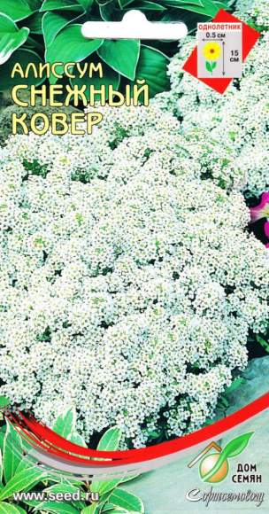 Алиссум Снежный ковер (дом семян) 180 шт  – купить в г. Волгоград