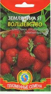 Земляника Волшебство S1 (плазмас) 10 шт  – купить в г. Волгоград