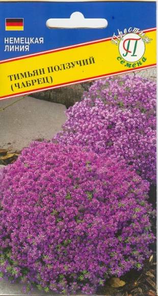 Тимьян Ползучий (чабрец) (престиж) 0,05 гр – купить в г. Волгоград Тимьян Ползучий (чабрец) (престиж) 0,05 гр – купить в г. Волгоград