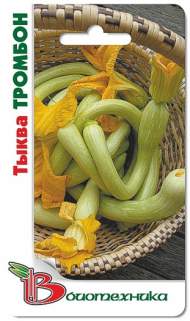 Тыква Тромбон мускатная (биотехника) 5шт