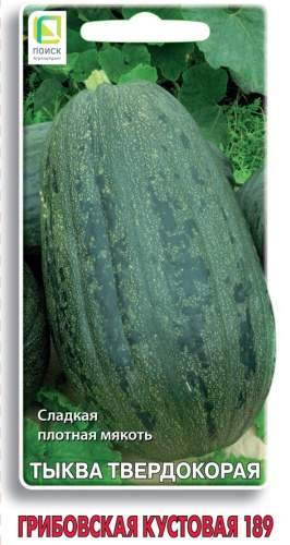 Тыква Грибовская кустовая 189 (поиск) 10 шт – купить в г. Волгоград Тыква Грибовская кустовая 189 (поиск) 10 шт – купить в г. Волгоград
