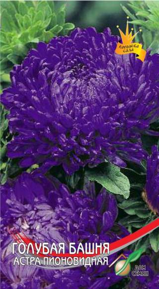 Астра Голубая башня (дом семян) 95 шт – купить в г. Волгоград Астра Голубая башня (дом семян) 95 шт – купить в г. Волгоград