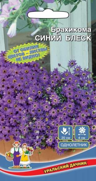 Брахикома Синий блеск (уральский дачник) 0,05 гр  – купить в г. Волгоград