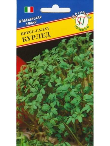 Кресс-салат Курлед (престиж) 0,5 гр – купить в г. Волгоград Кресс-салат Курлед (престиж) 0,5 гр – купить в г. Волгоград
