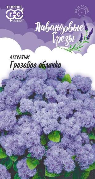 Агератум Грозовое облачко (гавриш) 0,05 гр – купить в г. Волгоград Агератум Грозовое облачко (гавриш) 0,05 гр – купить в г. Волгоград