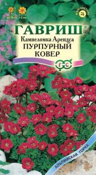 Камнеломка Пурпурный ковер (гавриш) 0,01 гр