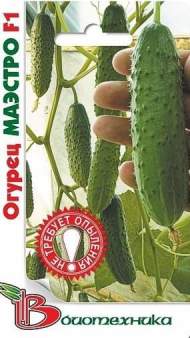 Огурец Маэстро F1 (б) 8шт