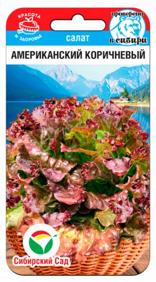 Салат листовой Американский коричневый (сибирский сад) 0,5 гр  – купить в г. Волгоград