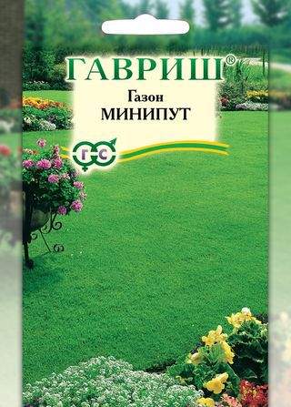 Газон Минипут (гавриш) 20,0гр  – купить в г. Волгоград