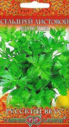 Сельдерей листовой Ванюша (гавриш) 0,1 гр – купить в г. Волгоград Сельдерей листовой Ванюша (гавриш) 0,1 гр – купить в г. Волгоград