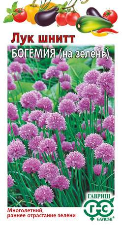 Лук шнитт Богемия (гавриш) 0,5 гр  – купить в г. Волгоград
