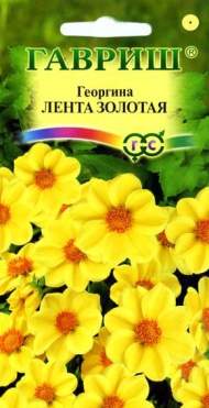 Георгина Лента золотая (гавриш) 0,2 гр Георгина Лента золотая (гавриш) 0,2 гр