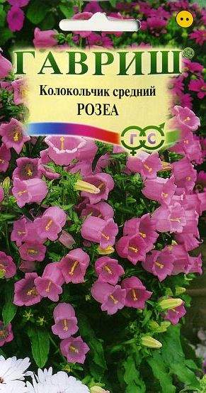 Колокольчик Розеа (гавриш) 0,05гр  – купить в г. Волгоград