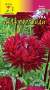 Астра Гала Бургунди (цветущий сад) 0,1 гр  – купить в г. Волгоград