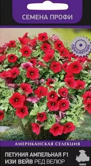 Петуния ампельная Изи Вейв Ред Велюр F1 (поиск) 5 шт – купить в г. Волгоград Петуния ампельная Изи Вейв Ред Велюр F1 (поиск) 5 шт – купить в г. Волгоград