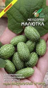 Мелотрия Малютка (дом семян) 8шт  – купить в г. Волгоград