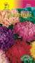 Астра Вдохновение смесь (цветущий сад) 0,2 гр  – купить в г. Волгоград