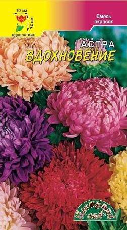 Астра Вдохновение смесь (цветущий сад) 0,2 гр  – купить в г. Волгоград