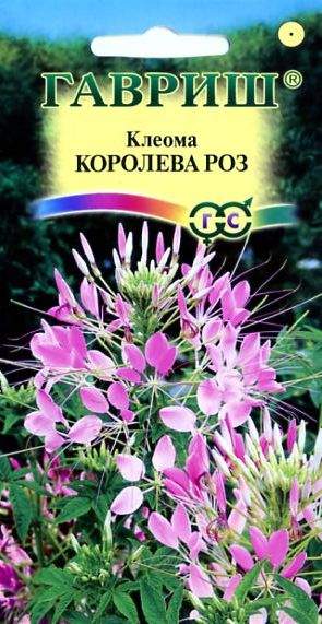 Клеома Королева роз (г) 0,2гр  – купить в г. Волгоград