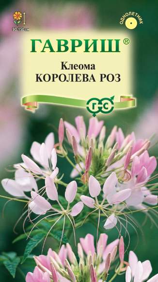 Клеома Королева роз (гавриш) 0,2 гр  – купить в г. Волгоград