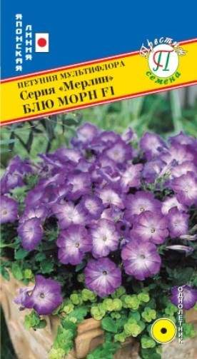 Петуния мультифлора Блю морн F1 (престиж) 10шт  – купить в г. Волгоград