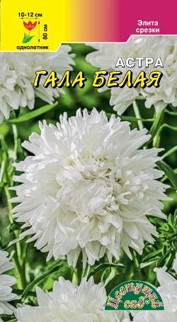 Астра Гала Белая (цветущий сад) 0,1 гр – купить в г. Волгоград Астра Гала Белая (цветущий сад) 0,1 гр – купить в г. Волгоград