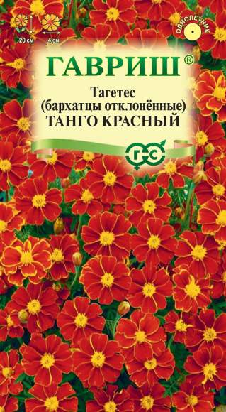 Бархатцы Танго красный (гавриш) 7 шт – купить в г. Волгоград Бархатцы Танго красный (гавриш) 7 шт – купить в г. Волгоград