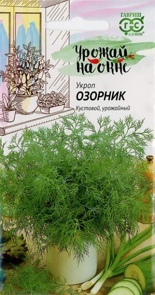 Укроп Озорник (гавриш) 2,0 гр – купить в г. Волгоград Укроп Озорник (гавриш) 2,0 гр – купить в г. Волгоград