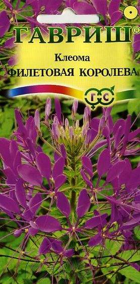 Клеома Фиолетовая королева (гавриш) 0,2гр  – купить в г. Волгоград